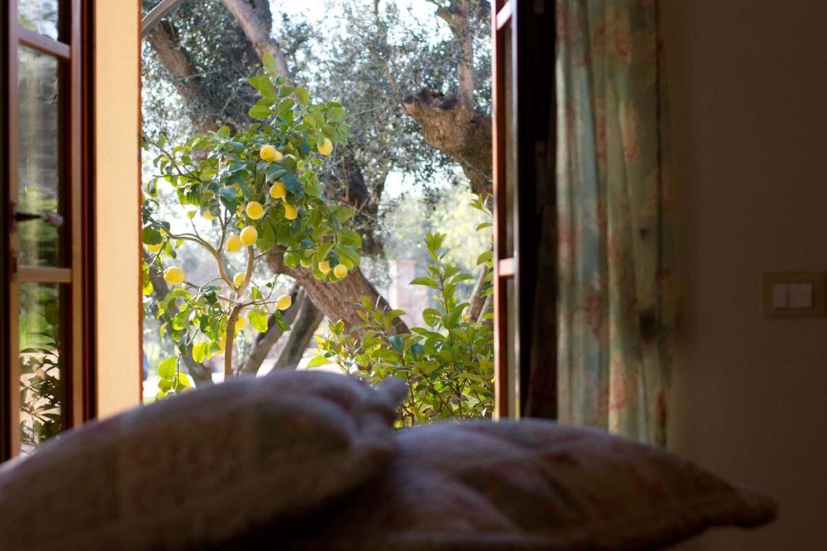 Il Bottaccio Casa Di Campagna Venturina Terme Extérieur photo