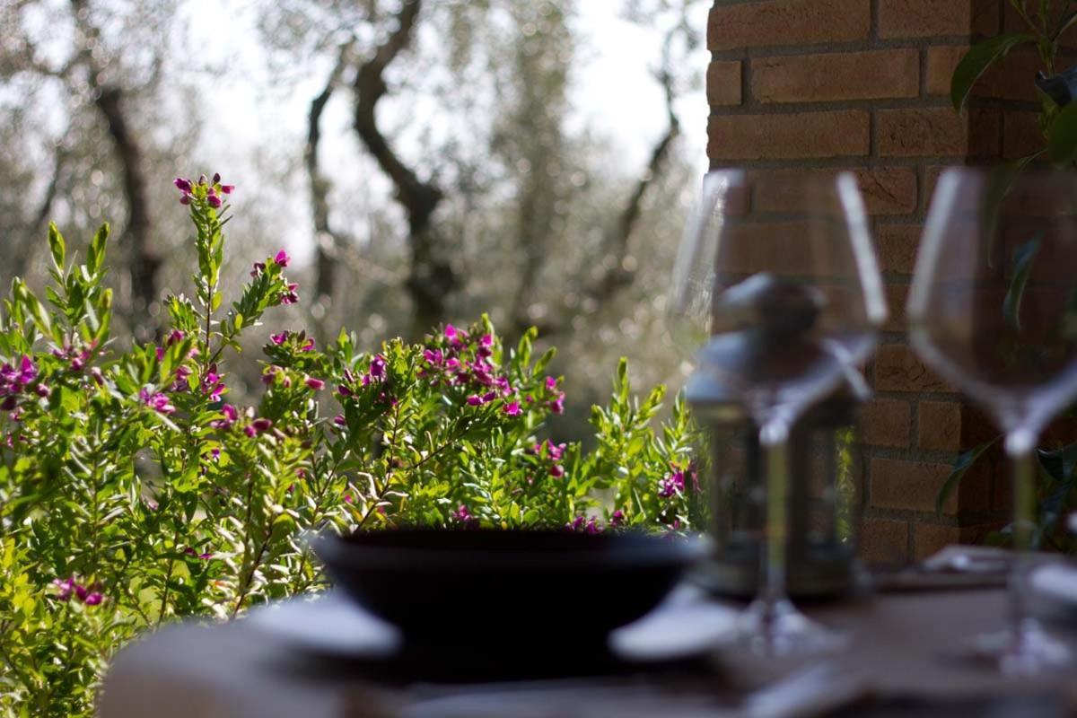 Il Bottaccio Casa Di Campagna Venturina Terme Extérieur photo