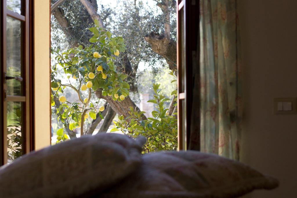 Il Bottaccio Casa Di Campagna Venturina Terme Chambre photo